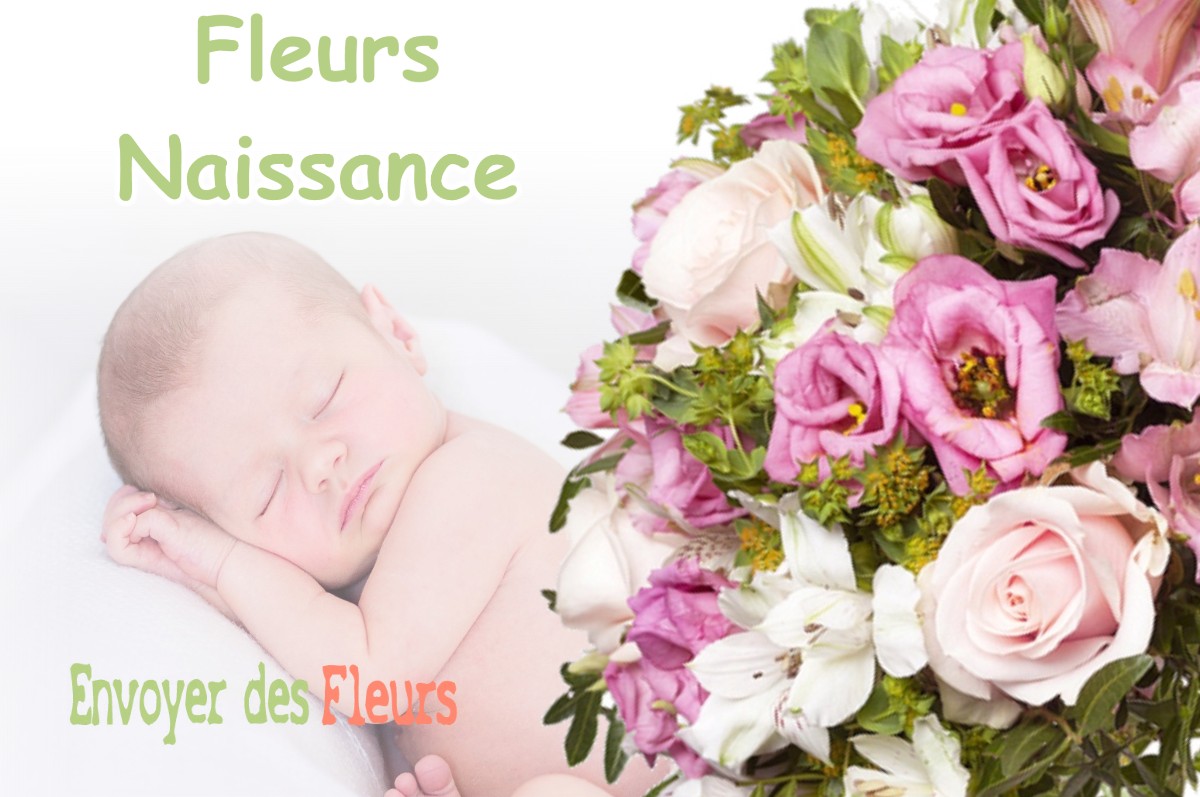 lIVRAISON FLEURS NAISSANCE à PONT-EN-ROYANS